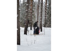 DSC_0316.JPG