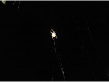 DSCF6416.JPG
