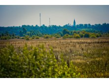 _DSC3719 - .jpg