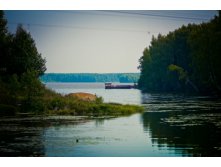 _DSC3842 - .jpg