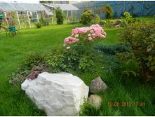 DSCN4133.JPG
