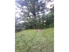 20130817_165159.jpg