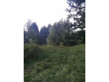 20130817_165201.jpg