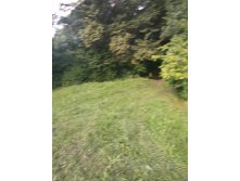 20130817_165207.jpg