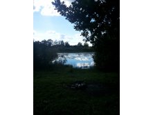 20130817_165222.jpg