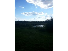 20130817_165224.jpg