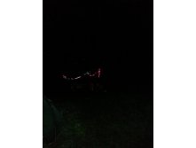 20130818_011353.jpg