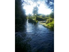 20130818_181945.jpg