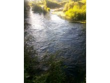 20130818_181949.jpg