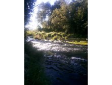 20130818_182021.jpg