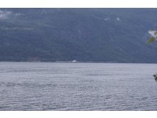 DSC03991 ().jpg