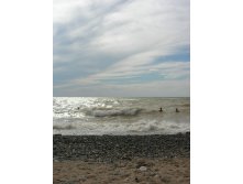 DSCN8777.JPG