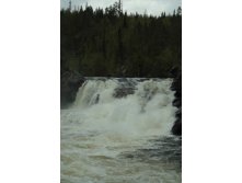 IMG_7408.JPG
