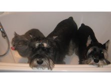 03.01.2010 23:38:57
