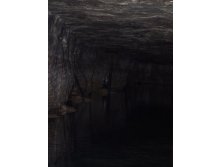 12.01.2010 23:22:35