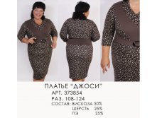 373854(1100-00) кор .jpg