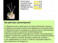 Batel. c     , 80 .JPG