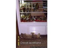 20.01.2010 0:19:31