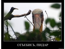 2odn0dnlp5ko.jpg