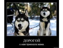 1244550067_9j8g64wkwil3.jpg