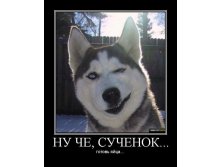 1222316160260.jpg