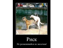 ktblbezpkpvs.jpg