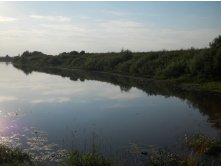 DSCN1616.JPG