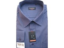 T929-2g.JPG