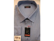 T929-3g.JPG