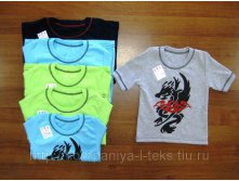 ФУТБОЛКА &laquo;ДРА***КОН&raquo; (РЕБАНА)