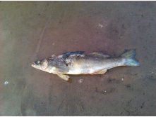 2012-07-13 20.23.51.jpg