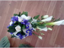 13092012276.jpg
