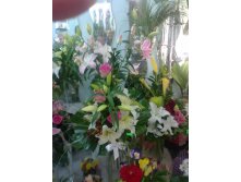 16092011017.jpg