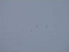 01.02.2010 20:53:41