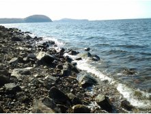 20121021_144158.jpg