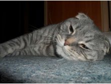 26.03.2013 16:41:47