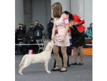 выставка1.jpg