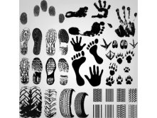 Footprints_vector1.jpg