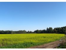 IMG_0002.JPG