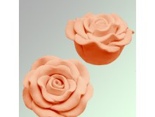 3633398.Roza_3D_LN.jpg