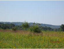 IMG_1436.JPG