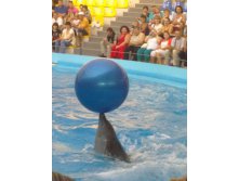29082013651.jpg