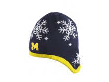 145 Michigan Wolverines       -  .jpg