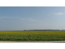 IMG_0827.JPG
