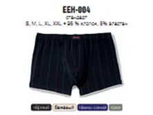     EEH-004 ( .)