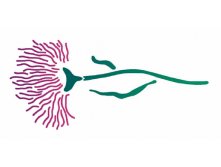  Marabu 1608-00-001,  
