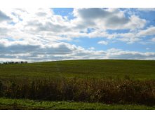 DSC_0786.JPG