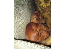 IMG_1555.JPG