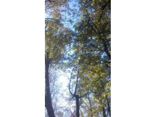 09.10.2013 16:44:03