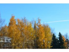 DSC_0947.JPG